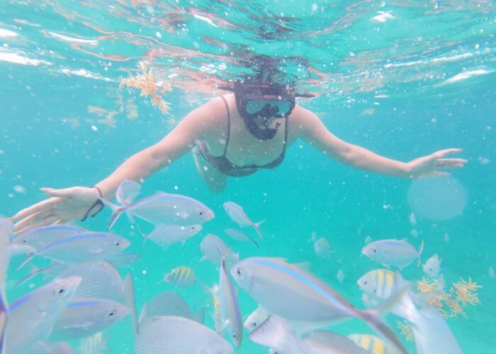 Snorkeling in Punta Cana with colorful fish swimming around