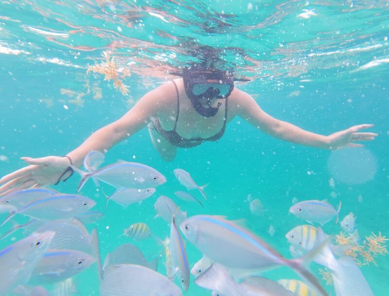 Snorkeling in Punta Cana with colorful fish swimming around