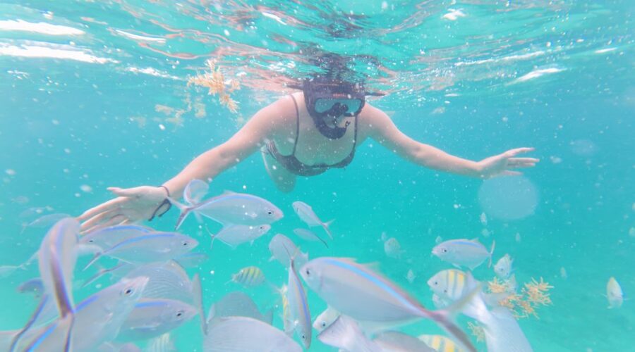 Snorkeling in Punta Cana with colorful fish swimming around